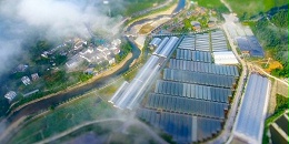 金融活水润泽“希望田野”｜农发行精准信贷赋能，上海市极悦平台全域土地整治项目前景广阔