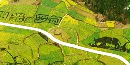 土地的涅槃｜全域土地综合整治为何爆火？设计院如何抢占风口？