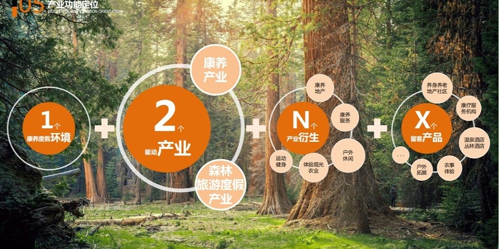 康养项目精选：四川省碧峰峡森林康养旅游度假区全过程规划设计